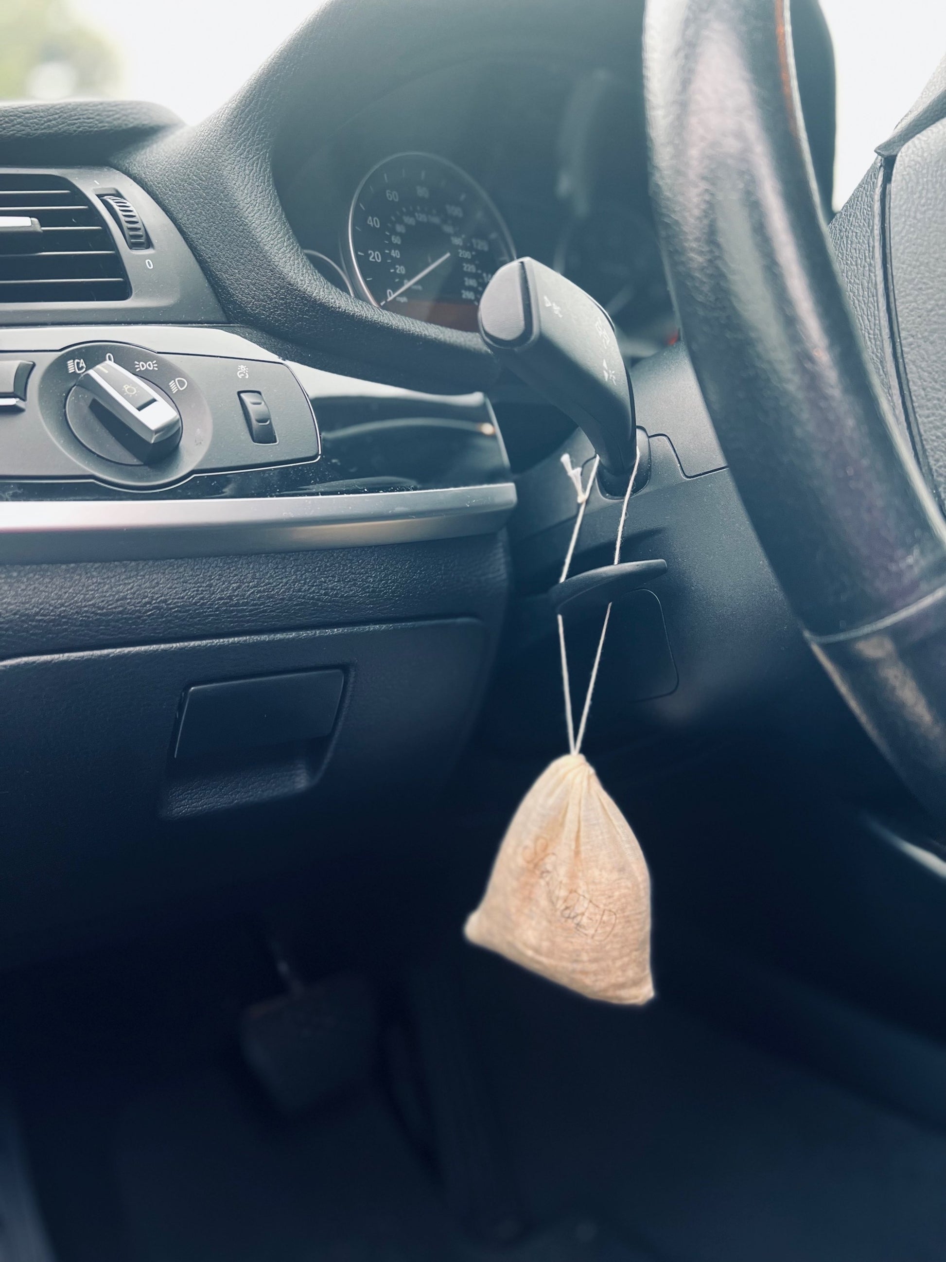Car Satchel image 0